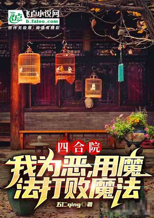 四合院：我为恶，用魔法打败魔法